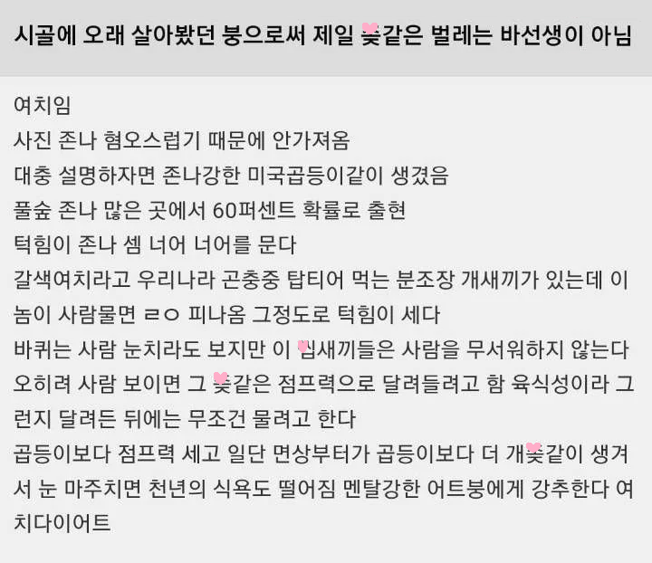 해연갤] 시골에 오래 살아봤던 경험으로 제일 ㅈ같은 벌레는…