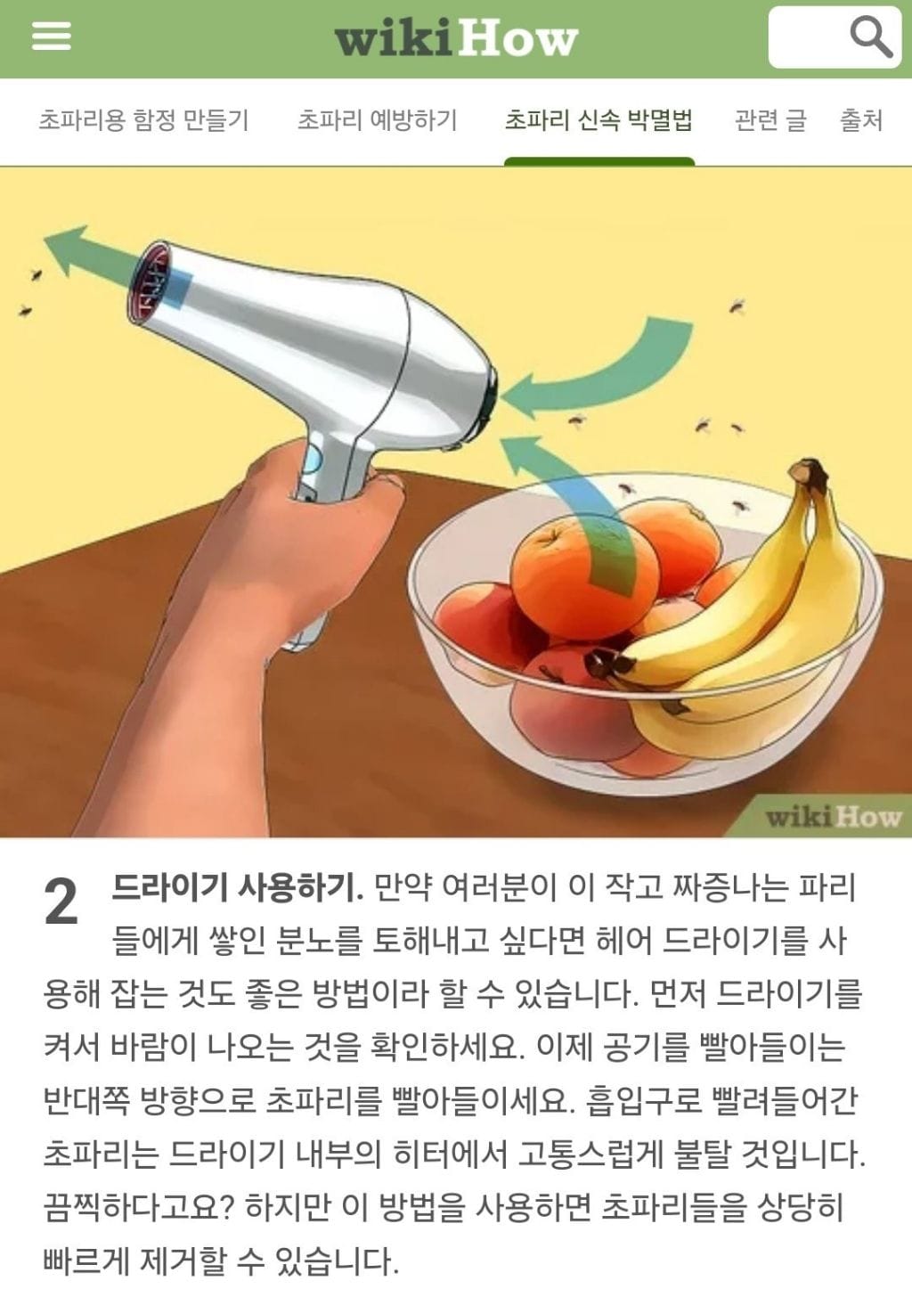 초파리 신속 박멸법