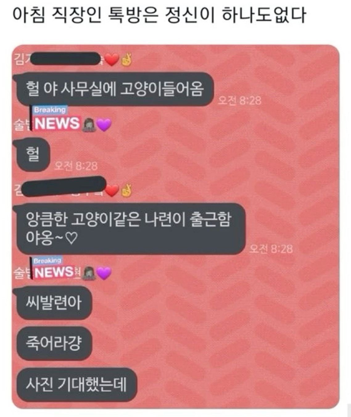 대한민국 남자 여자의 공통점.jpg