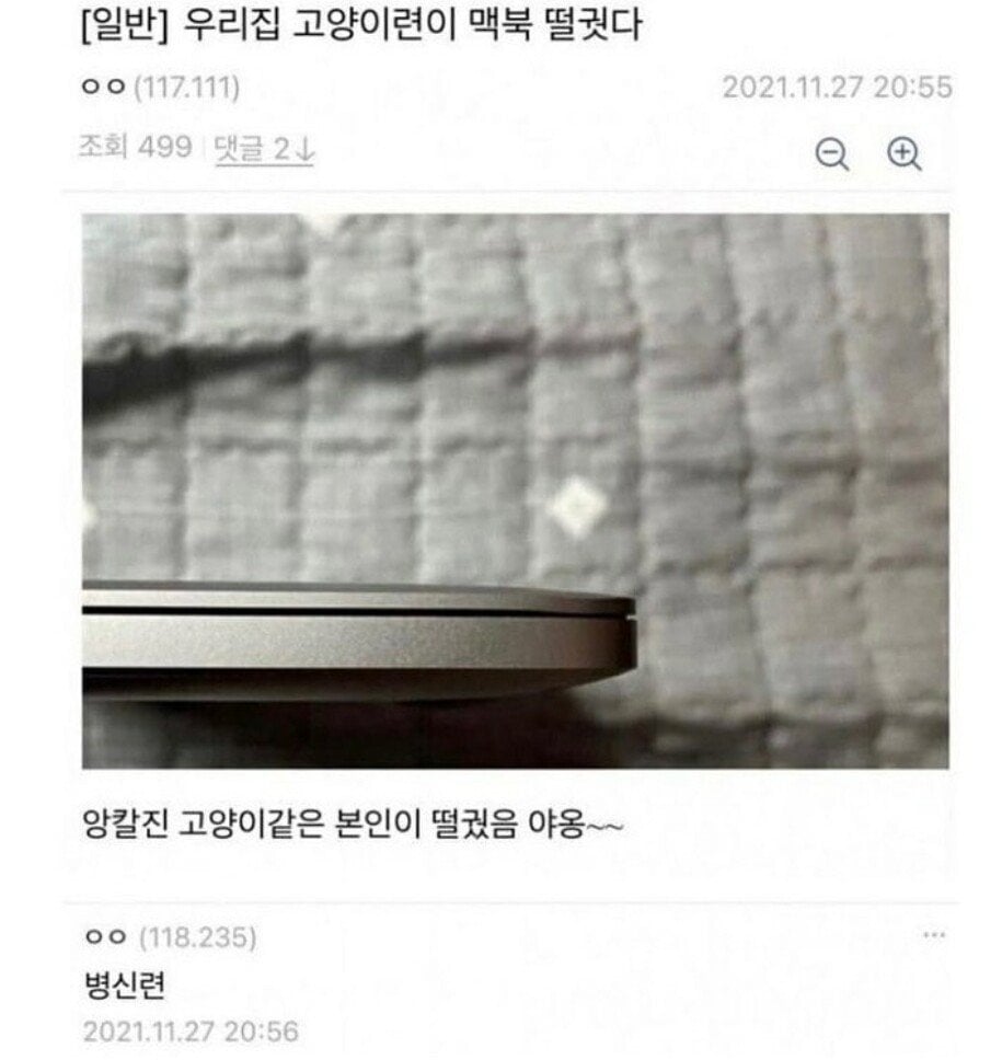 대한민국 남자 여자의 공통점.jpg