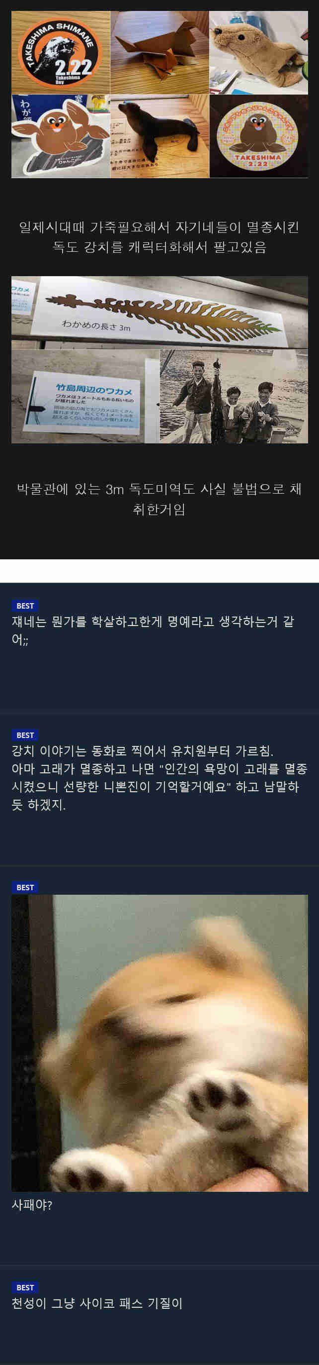 진실을 알면 소름끼치는 일본 다케시마 박물관.