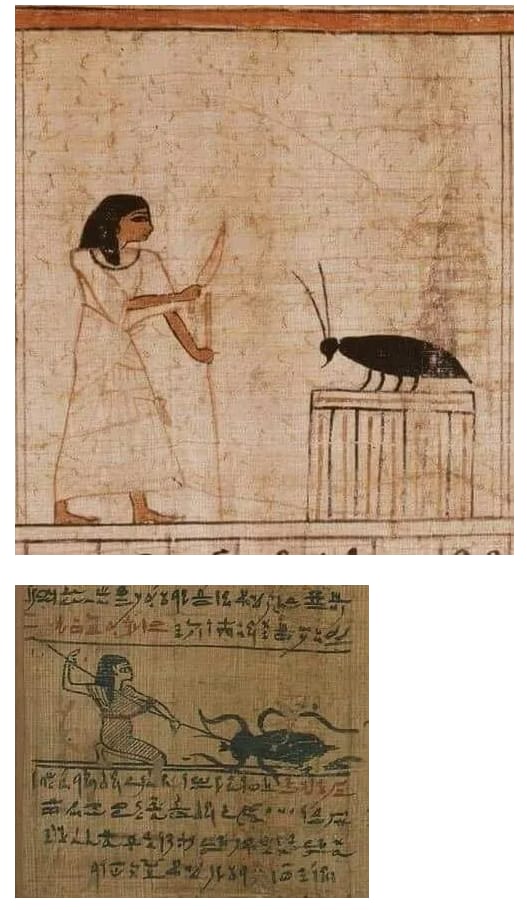 고대 이집트에서도 혐오했던거