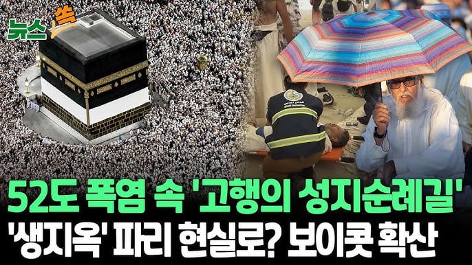 길에 시신이…52도 폭염 속 1000명이상 사망자 속...