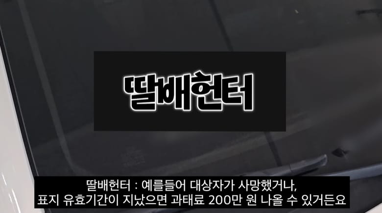 딸배헌터에 나타난 성실납세자