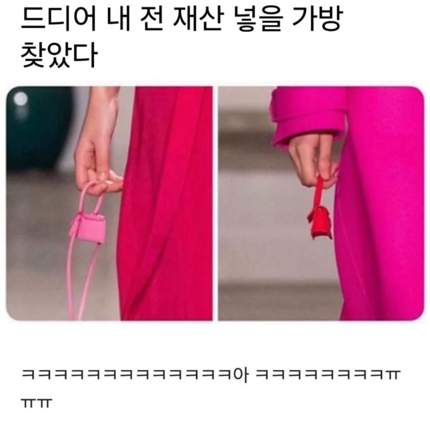 전 재산 넣기 딱 좋은 가방을 찾았습니다! .jpg