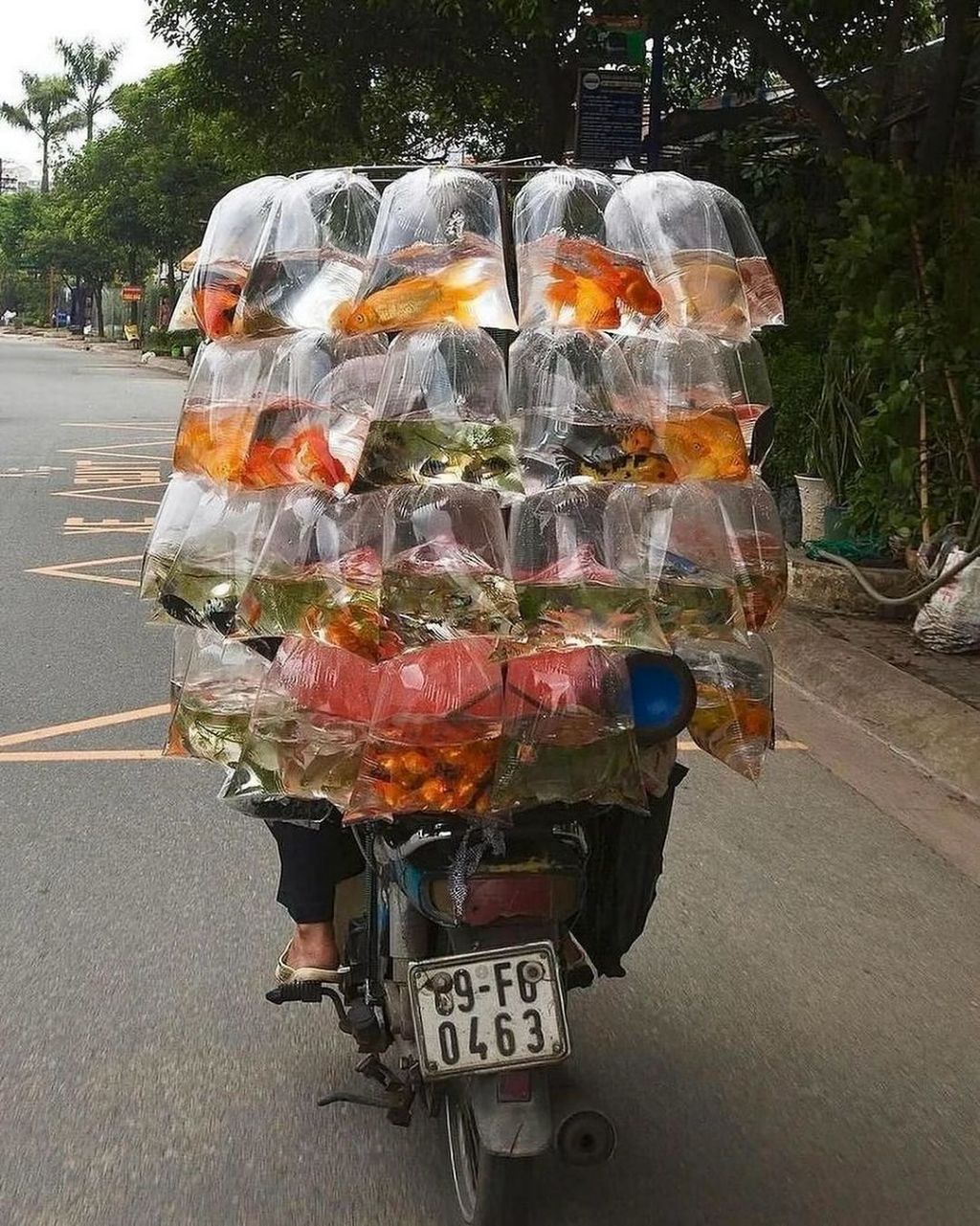 상상하는 것 이상으로 다양한 물건들을 오토바이로 옮기는 베트남 사람들.jpg