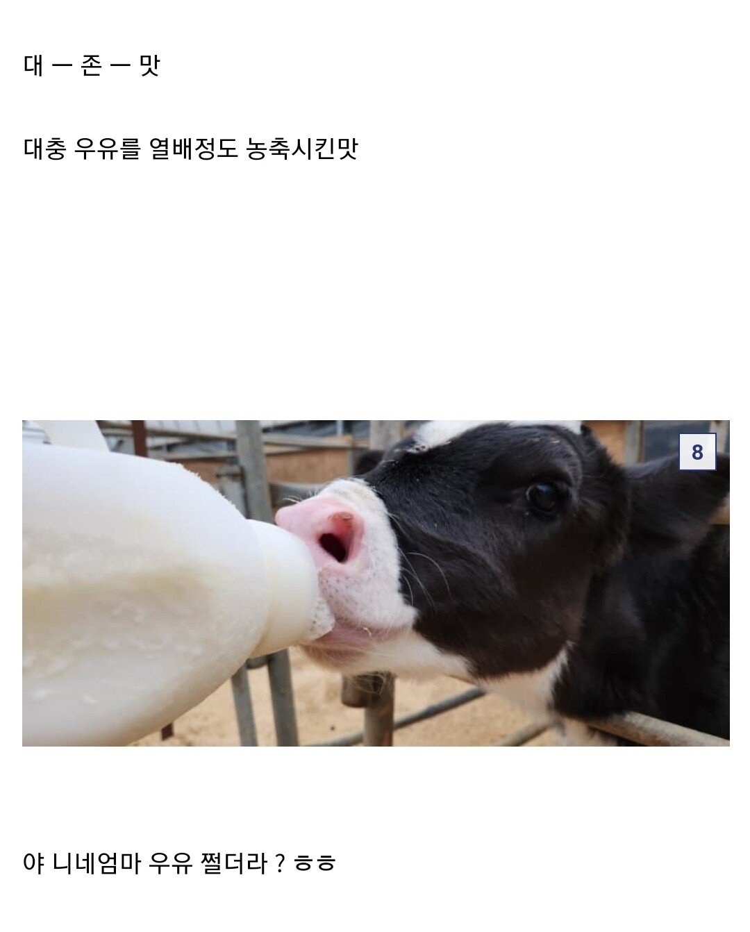 카이막을 직접 만들어본 DC인.jpg