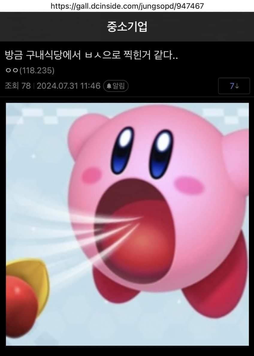 중소기업 다니는 별의 커비 ㄷㄷ