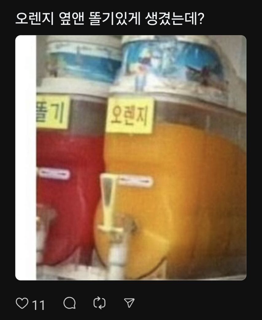 오렌지 왜 너만 진지해?