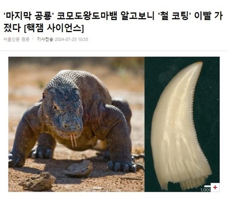 코모도 왕도마뱀의 비밀.jpg