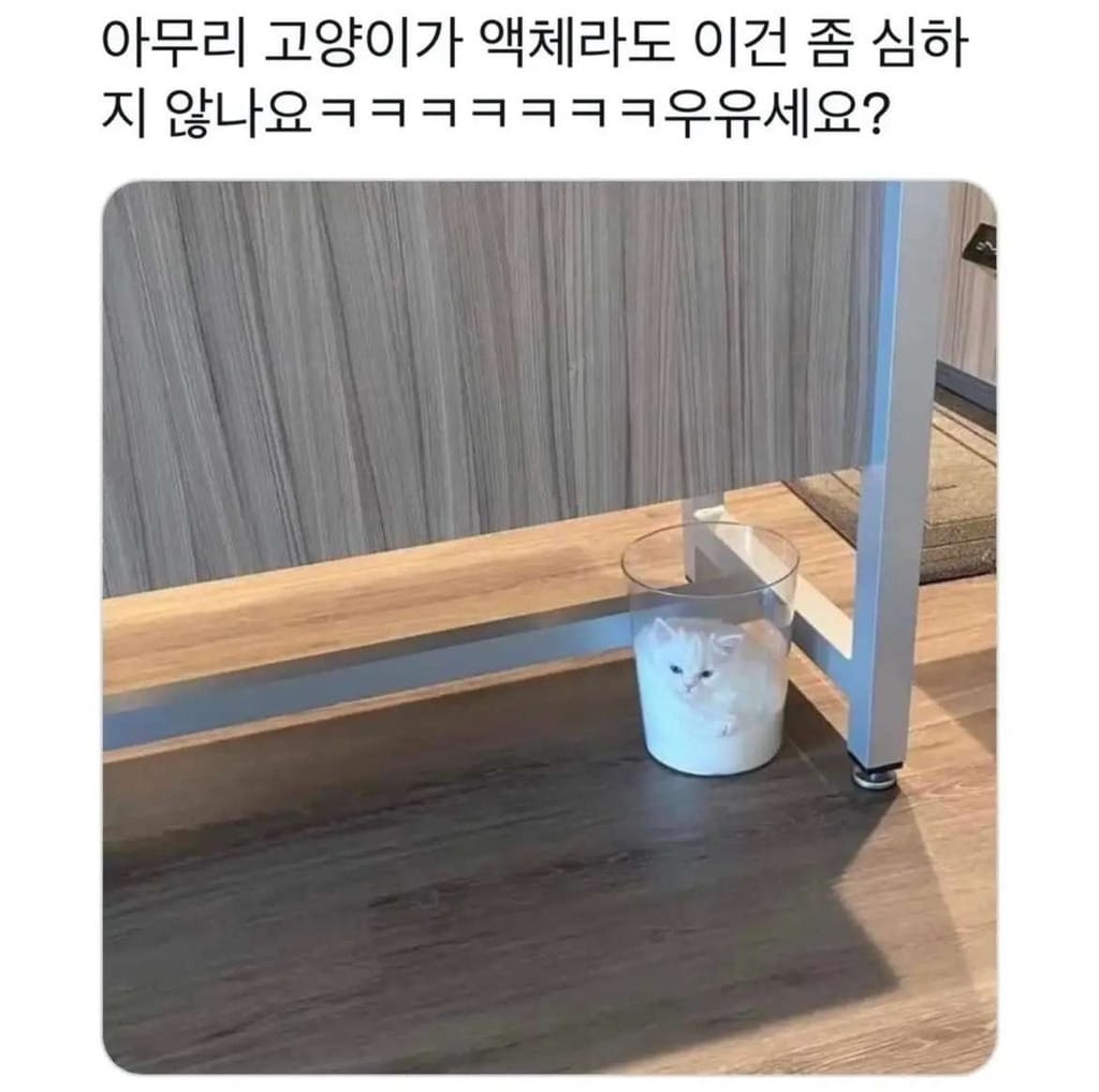 아무리 고영희씨가 액체라자만...