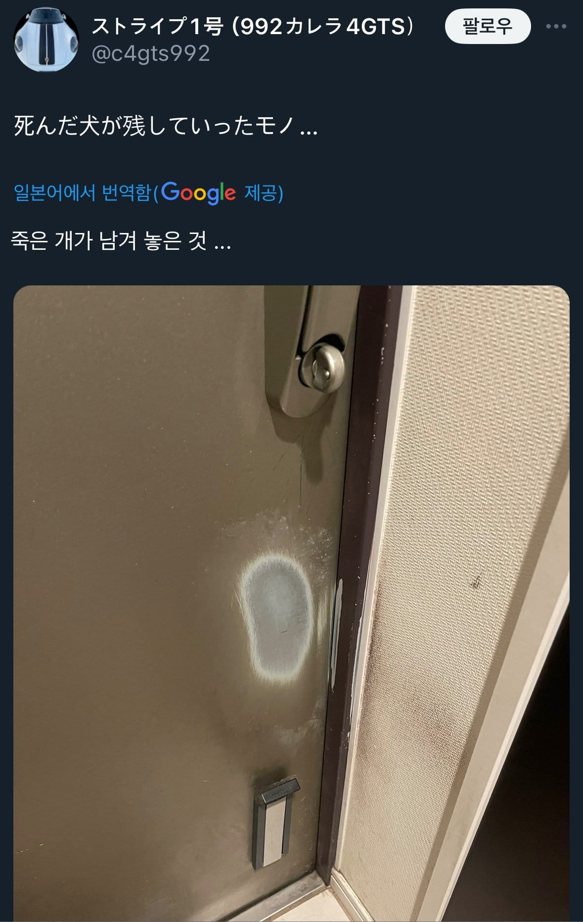 죽은 개가 남기고 간 것