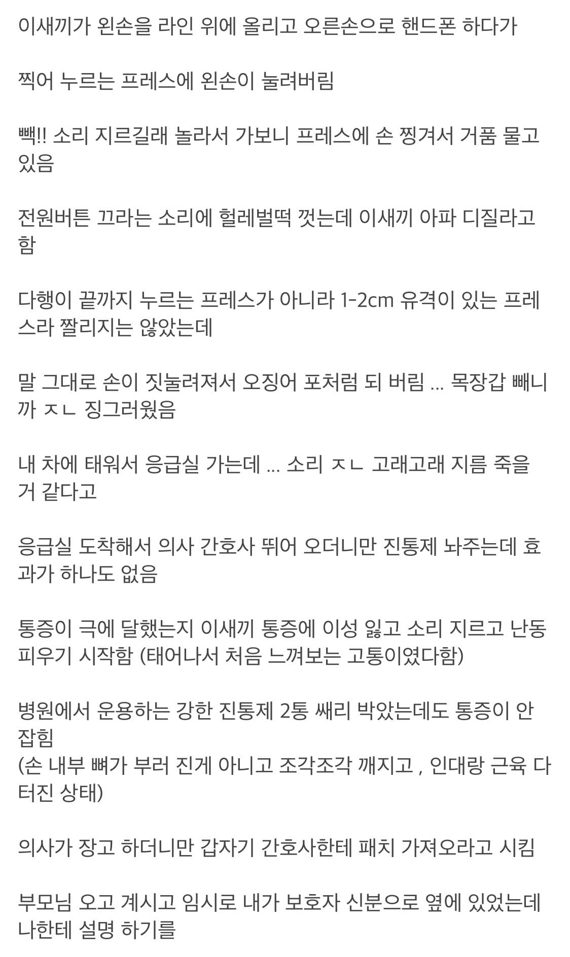 펜타닐패치 효과를 목격한 디씨인