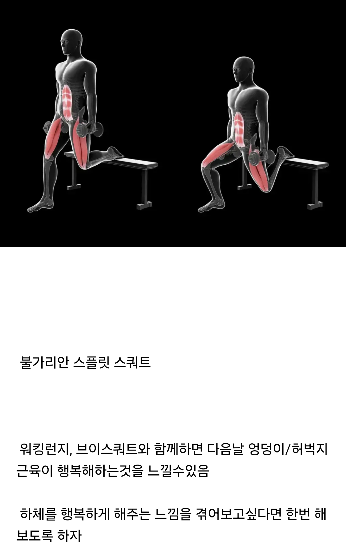 은근히 빡세다는 하체운동