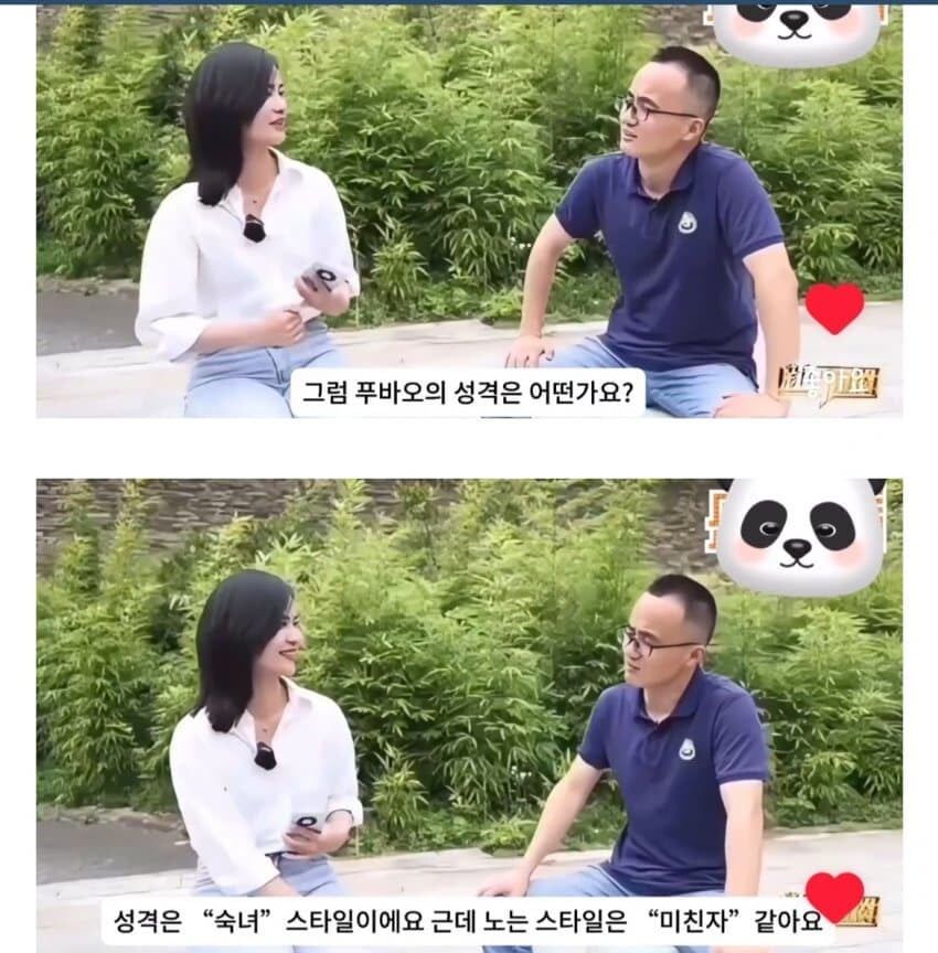 푸바오 중국 사육사 인터뷰