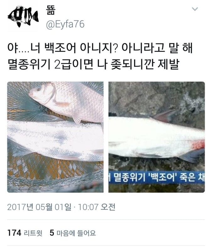 낚시꾼 우롱한 멸종위기종