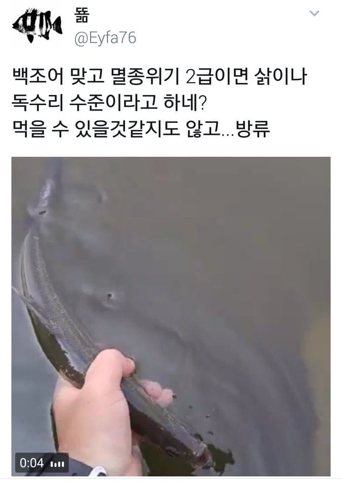 낚시꾼 우롱한 멸종위기종