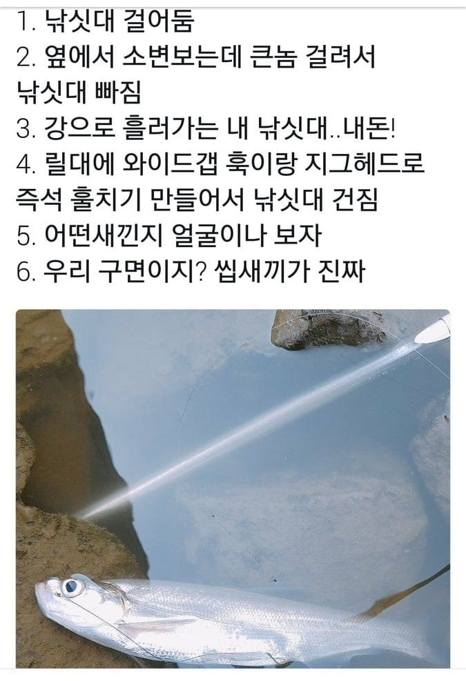 낚시꾼 우롱한 멸종위기종