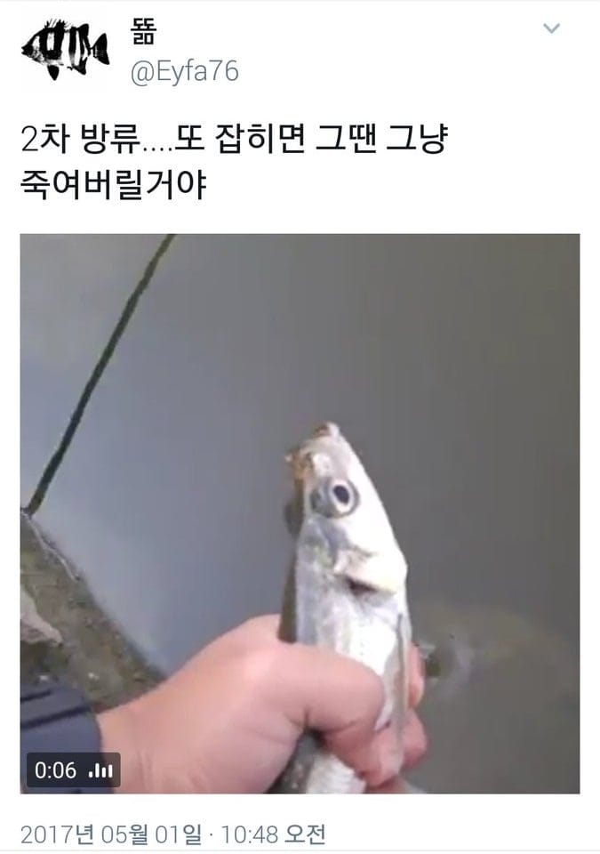 낚시꾼 우롱한 멸종위기종