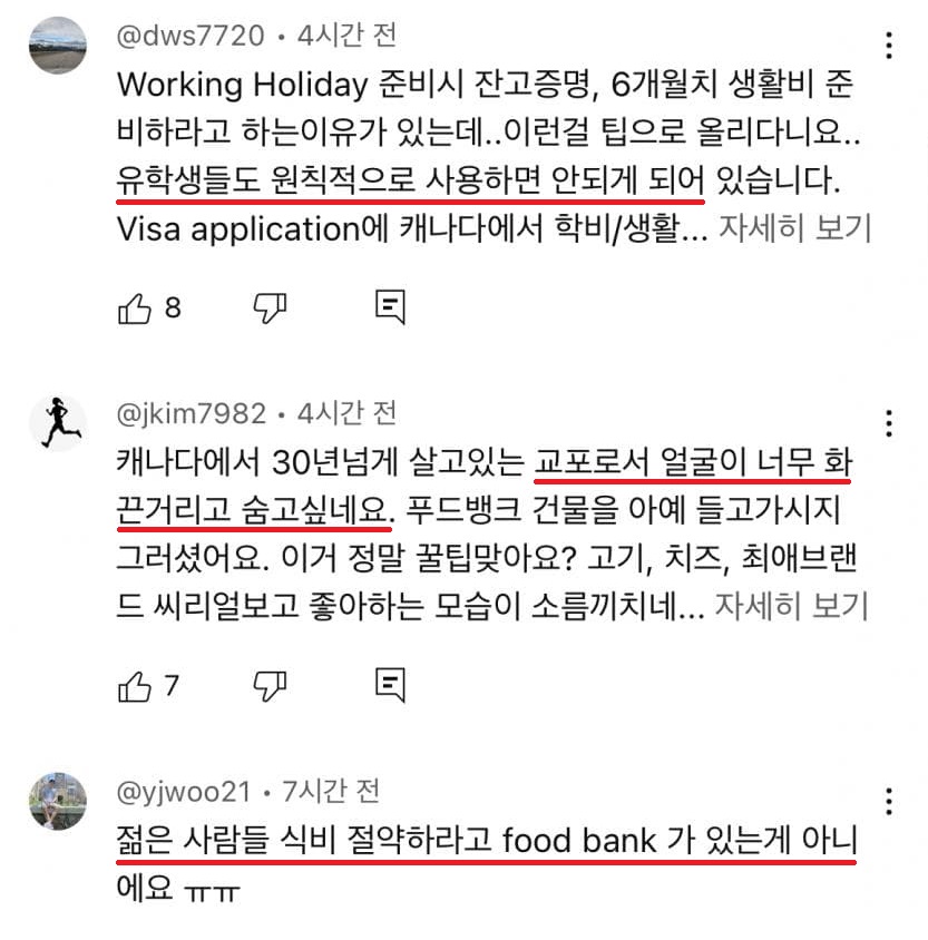 해외 워홀러 푸드뱅크 과용 논란.jpg