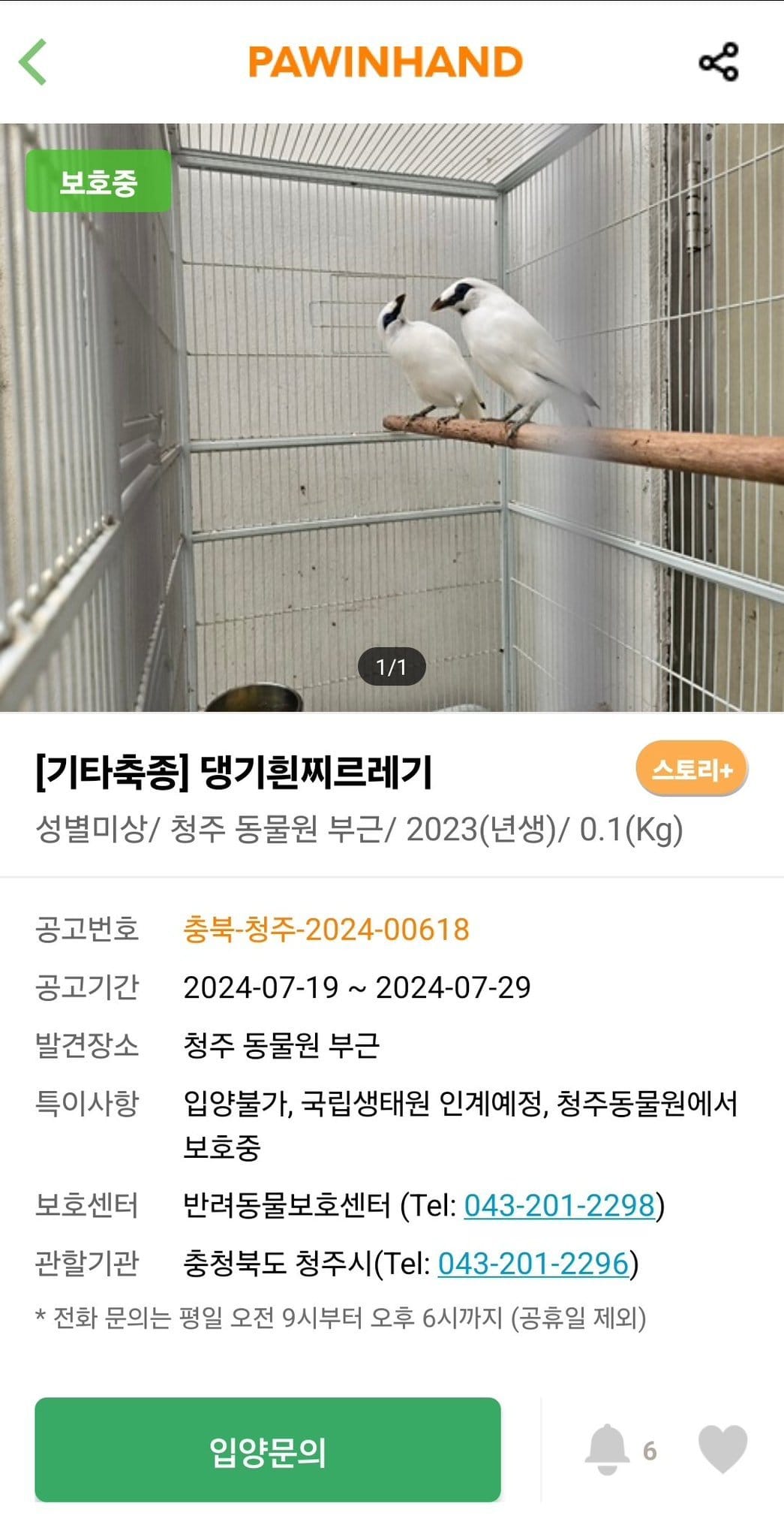 🐦 포인핸드에 올라온 범상치 않은 동물