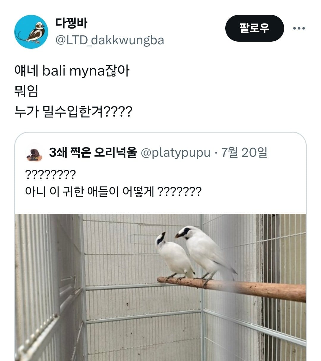 🐦 포인핸드에 올라온 범상치 않은 동물