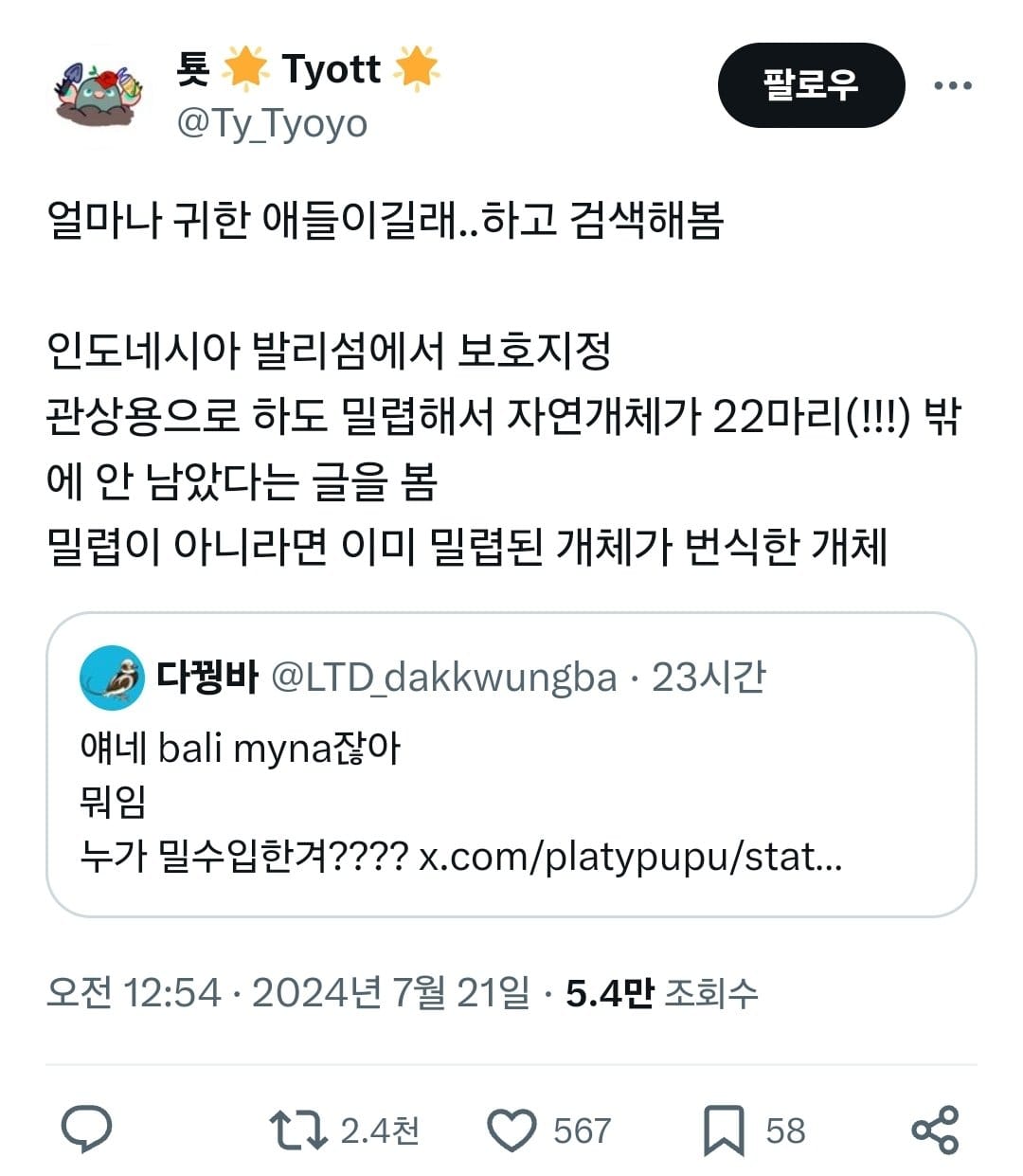 🐦 포인핸드에 올라온 범상치 않은 동물