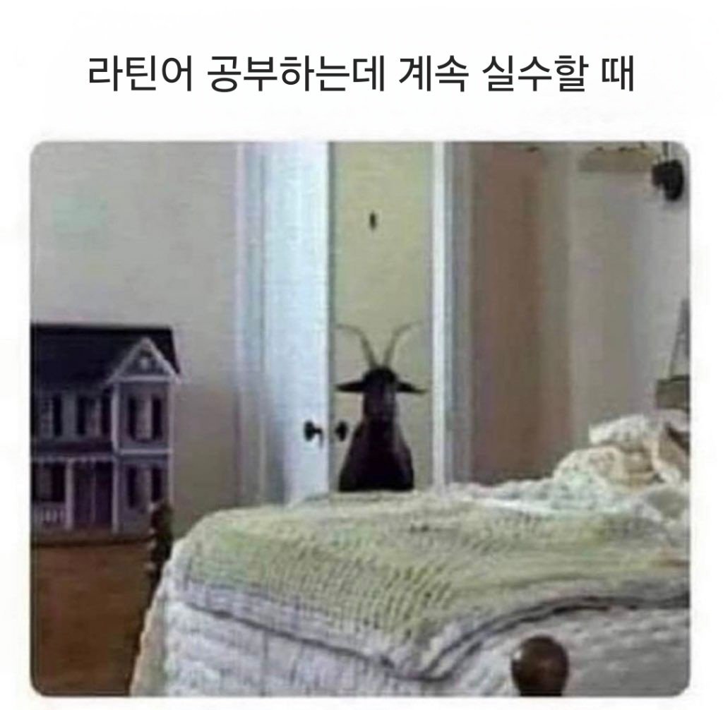 외국 밈 번역 모음