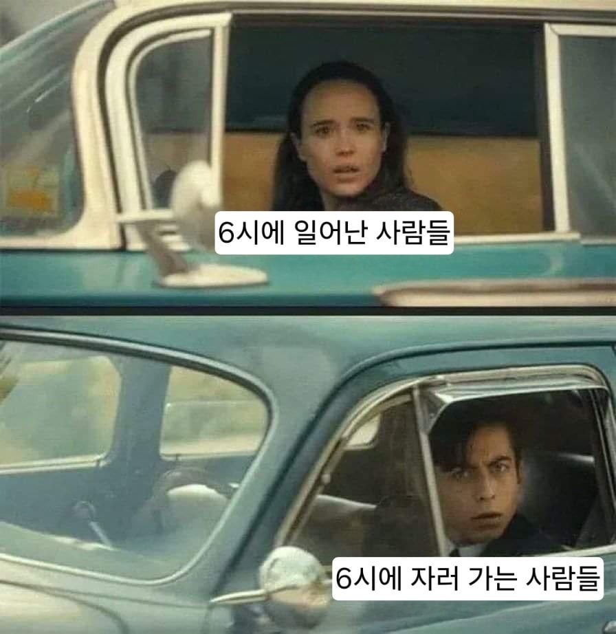 외국 밈 번역 모음