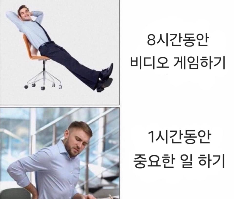 외국 밈 번역 모음