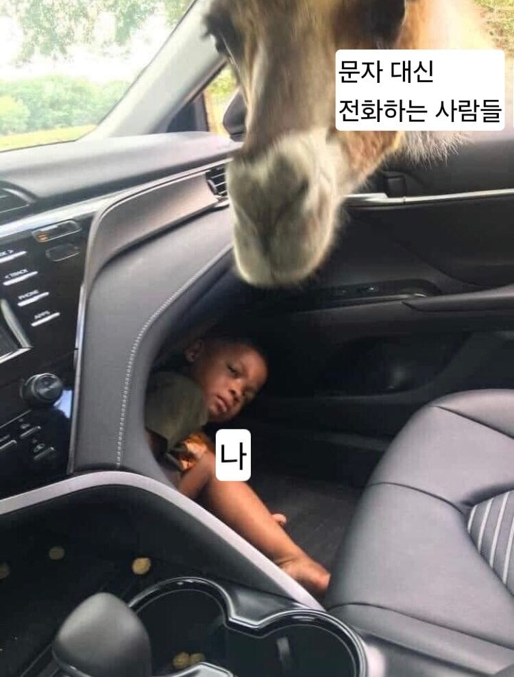 외국 밈 번역 모음