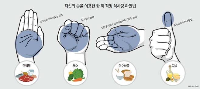 자신의 손을 이용한 한 끼 적정 식사량 확인법.twt