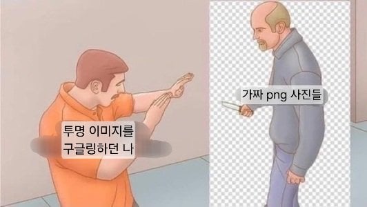 외국 밈 번역 모음