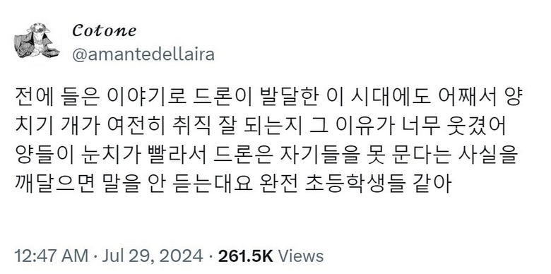 드론이 발달한 이 시대에도 양치기 개가 여전히 취직 잘 되…