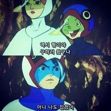 폭우에 갇혀 경찰을 부른 디시인.jpg