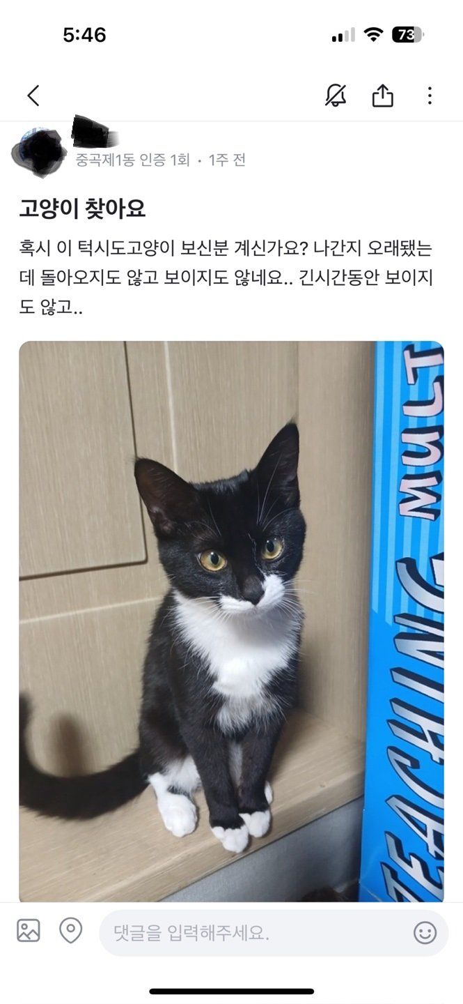 신종 고양이 유기방법.jpg