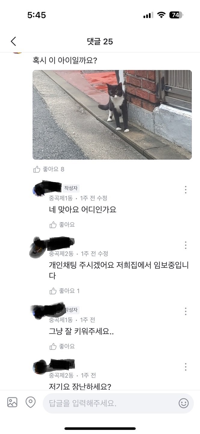 신종 고양이 유기방법.jpg