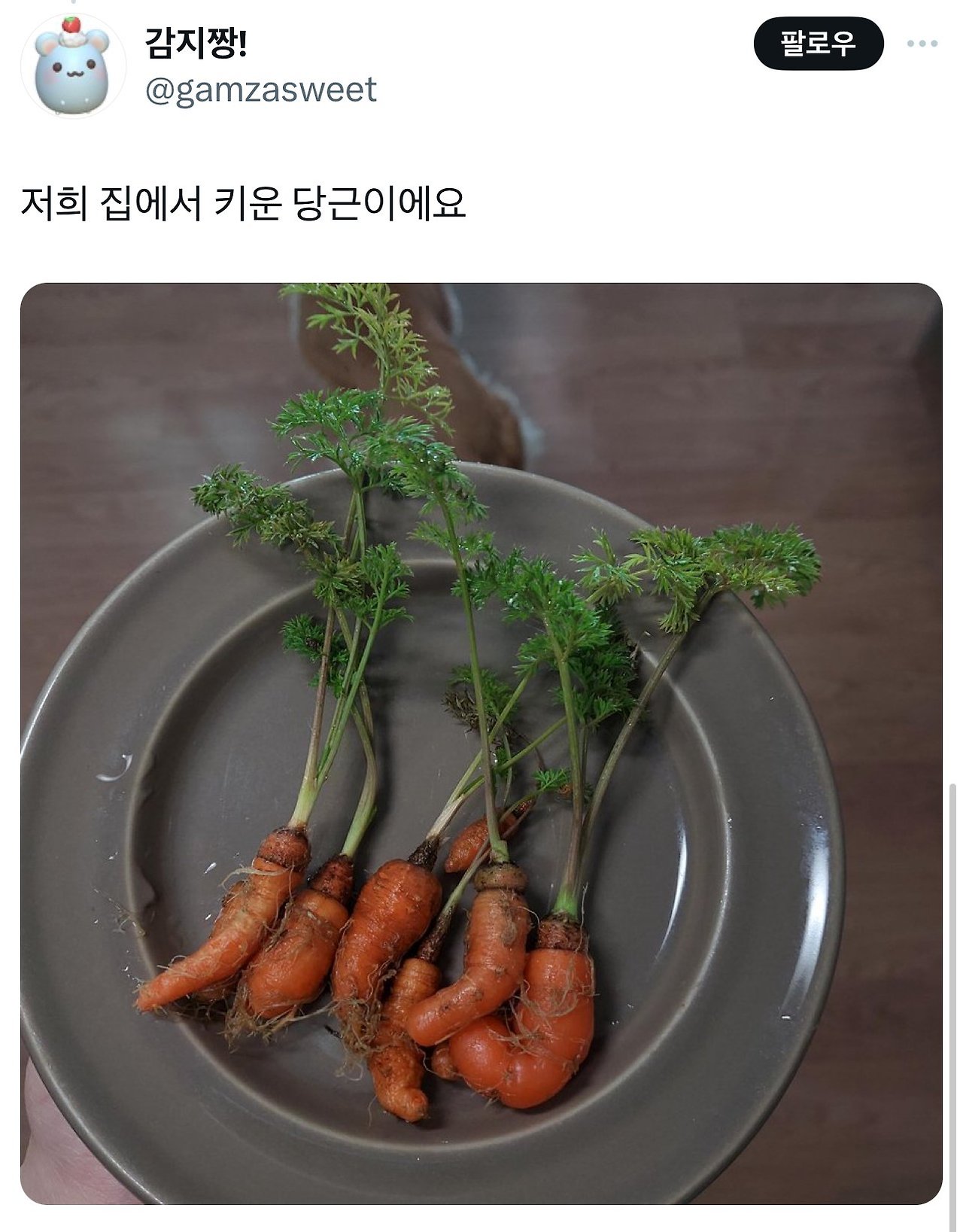 파프리카를 코에 붙여 보세요