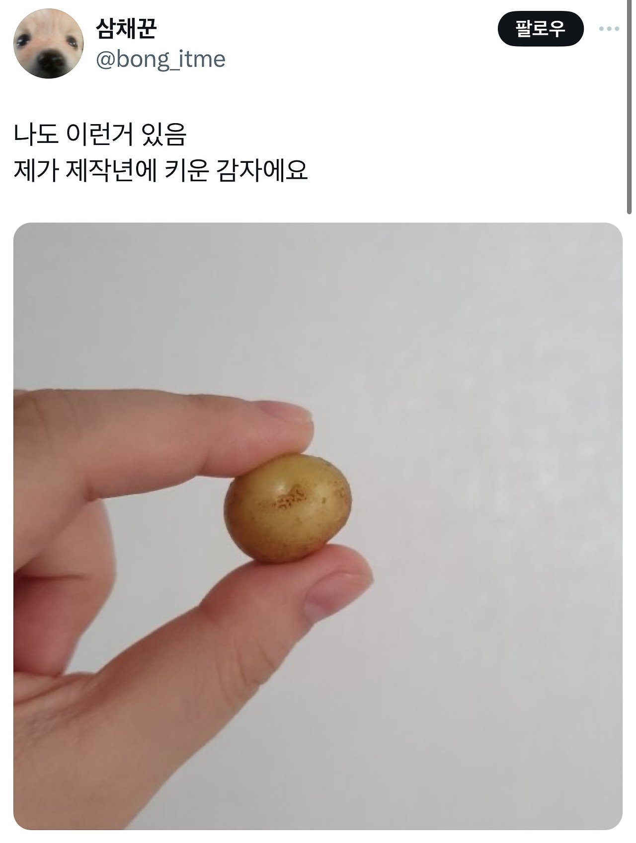 파프리카를 코에 붙여 보세요