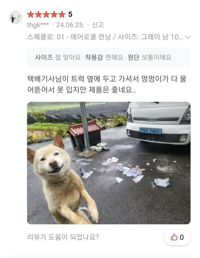 속옷 쇼핑 후기