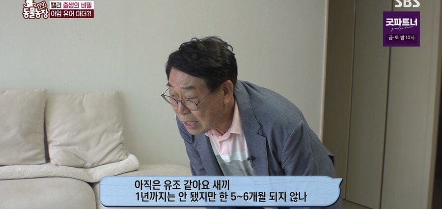 처녀수태로 태어난 예수앵무