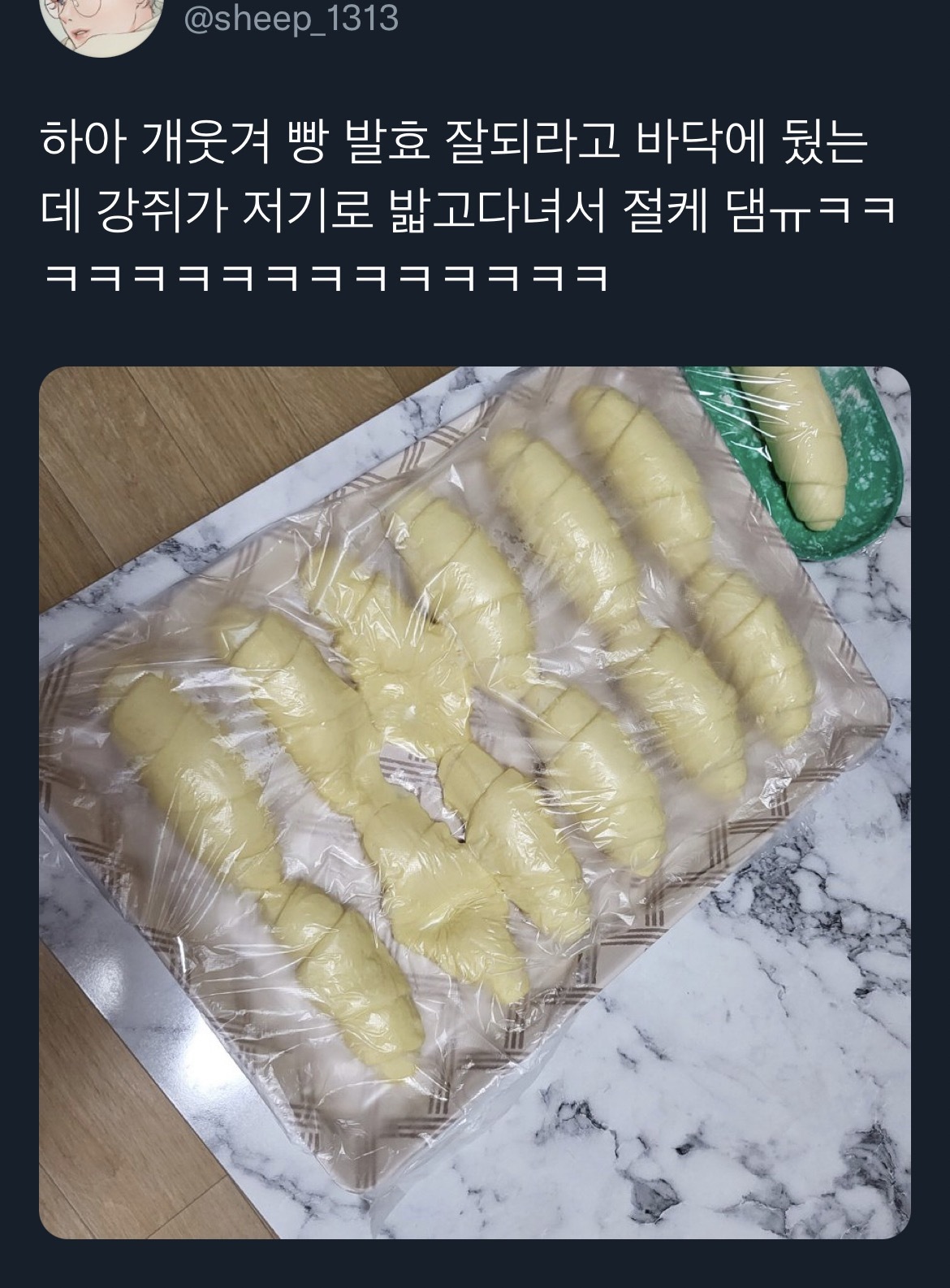 빵 발효 잘되라고 바닥에 뒀는데.twt