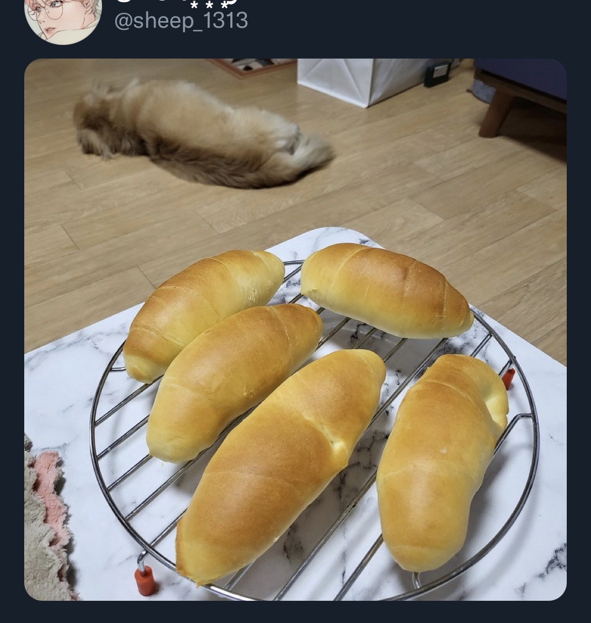 빵 발효 잘되라고 바닥에 뒀는데.twt