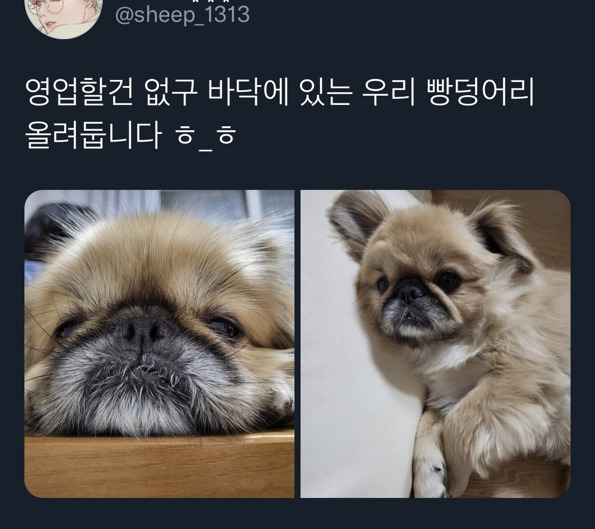 빵 발효 잘되라고 바닥에 뒀는데.twt