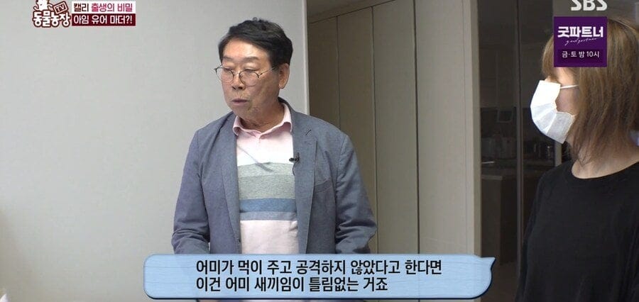 처녀수태로 태어난 예수앵무