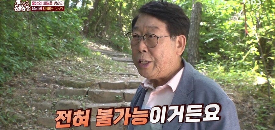 처녀수태로 태어난 예수앵무