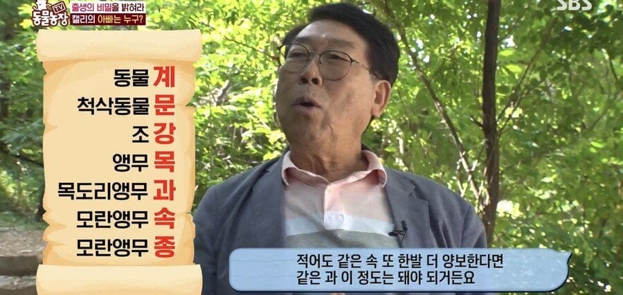 처녀수태로 태어난 예수앵무