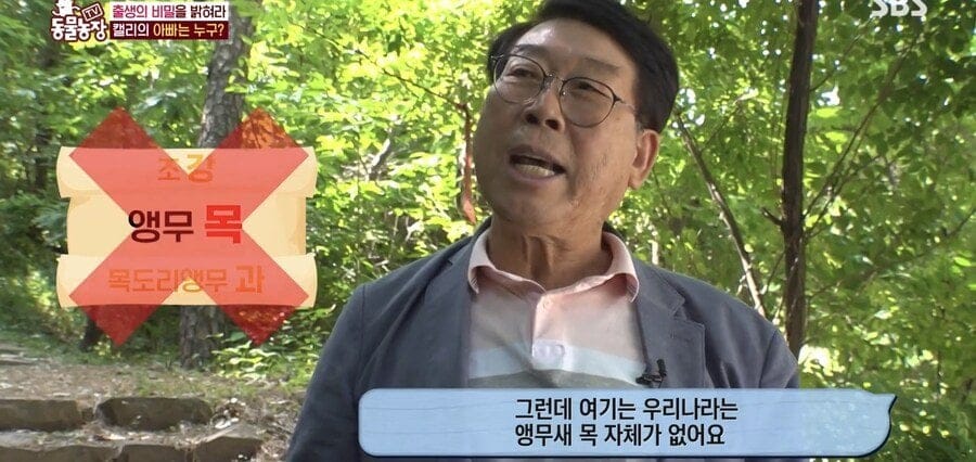 처녀수태로 태어난 예수앵무