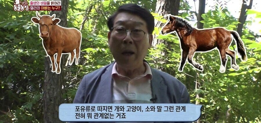 처녀수태로 태어난 예수앵무