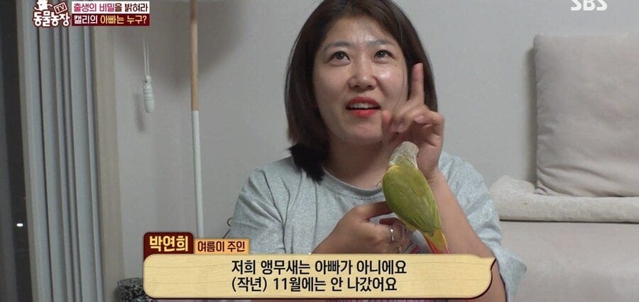 처녀수태로 태어난 예수앵무